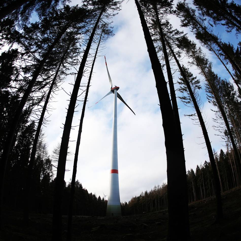 Windräder im Reichswald: Chaos bei Antragsstellung – Hängepartie um Bauantrag für Windpark
