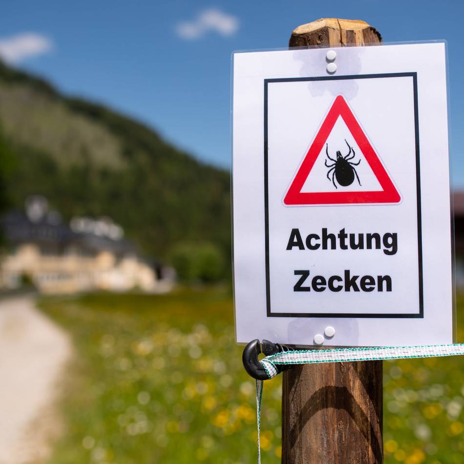 FSME-Gefahr im Kreis Mettmann : Das Zecken-Risikogebiet liegt gleich nebenan