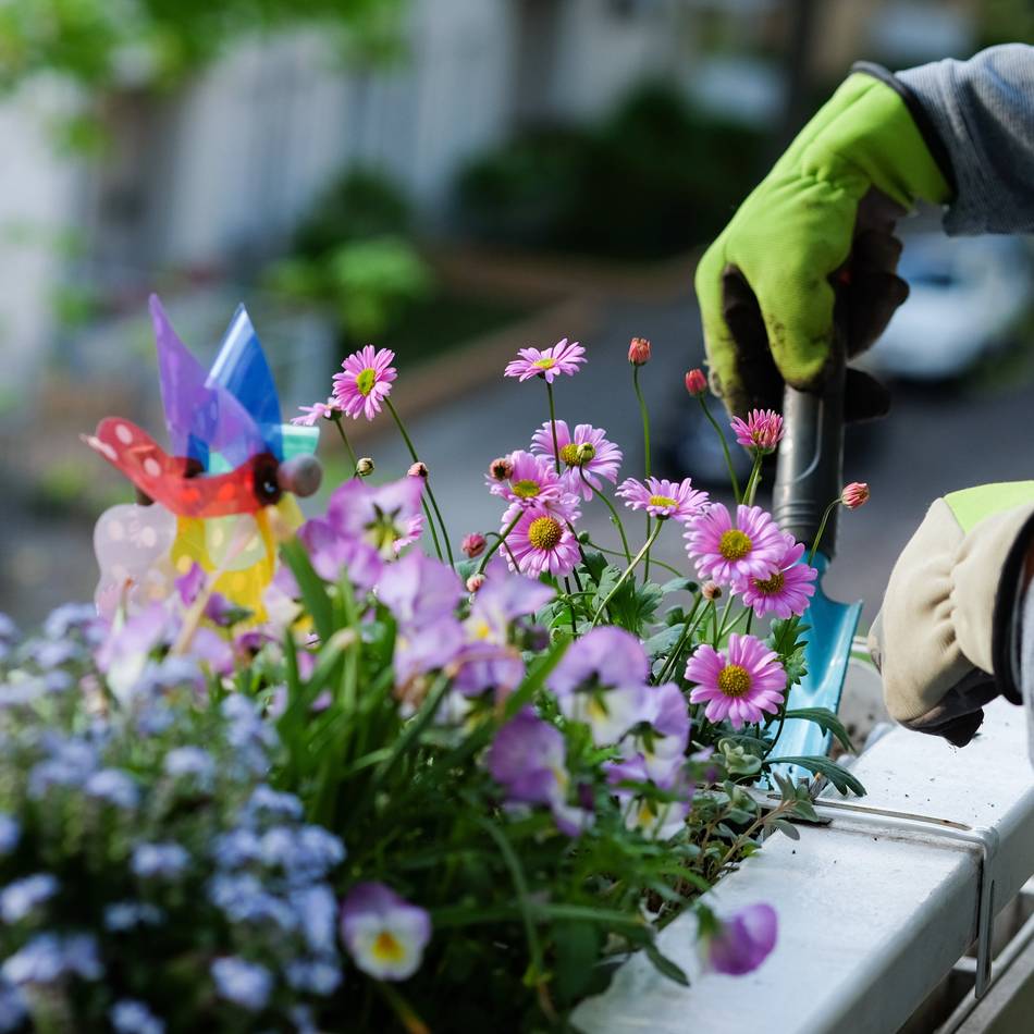 Wettbewerb in Kleve: Stadt sucht die schönsten Balkone – und zahlt dafür