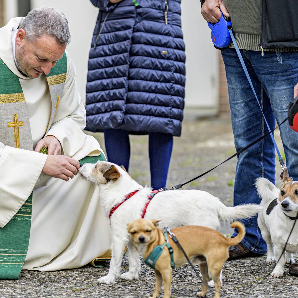 Heilige Messe in Dormagen: Dort kann man seine Tiere segnen lassen
