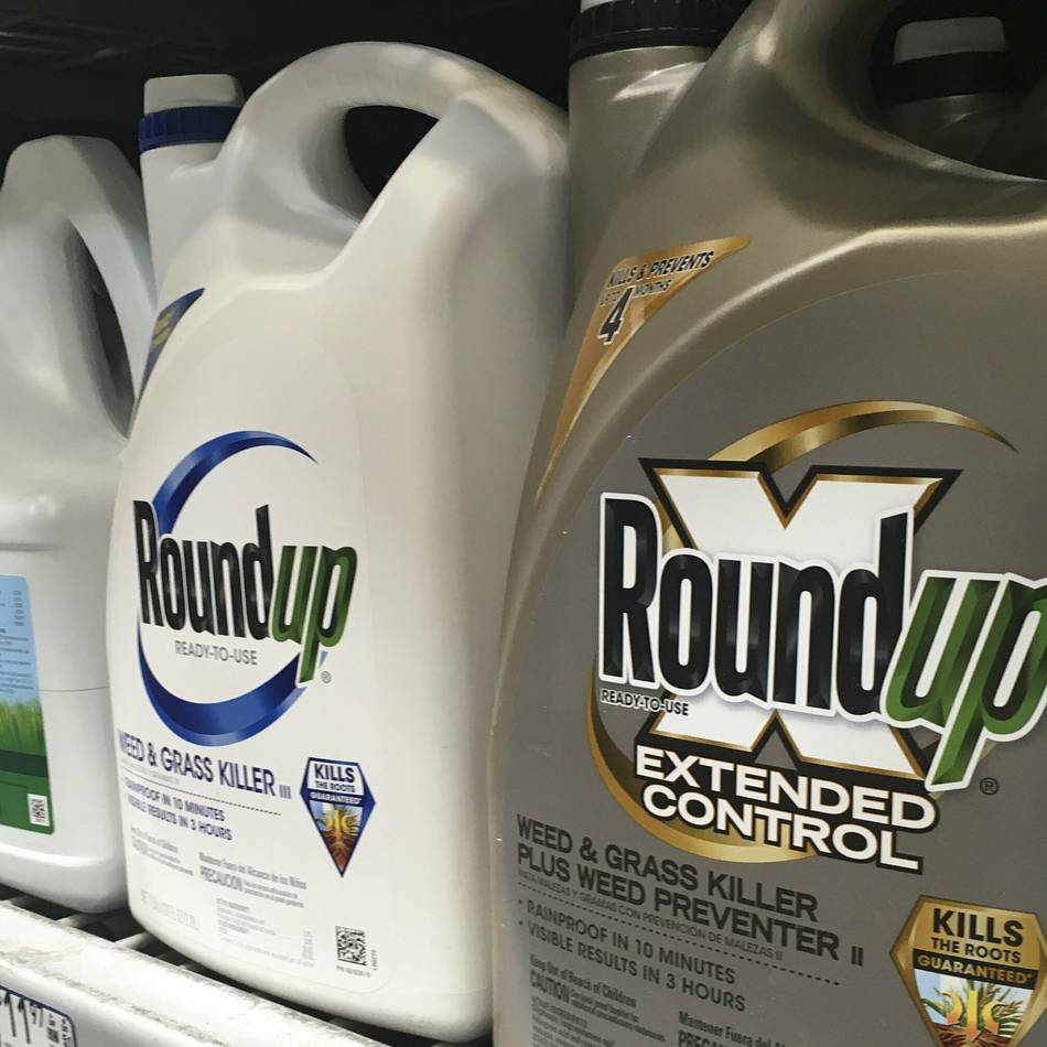 Zehn Jahre danach: Monsanto und dieser eine Fehler