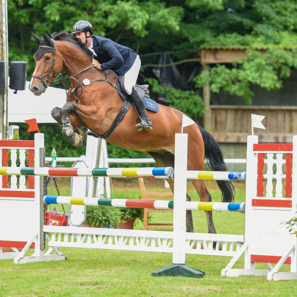 Großevent mit Rasenchampionat: Bedburg-Hau wird an Pfingsten zur großen Bühne für den Reitsport
