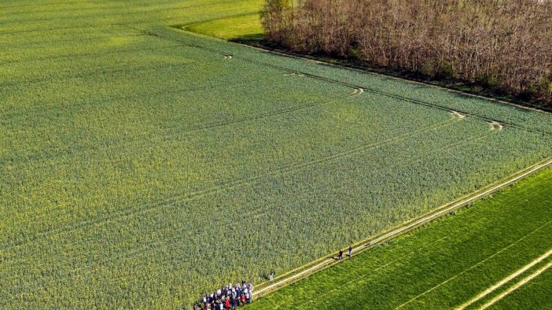 Geplantes Bayer-04-Leistungszentrum: Monheimer FDP stellt sich hinter neues Campus-Konzept