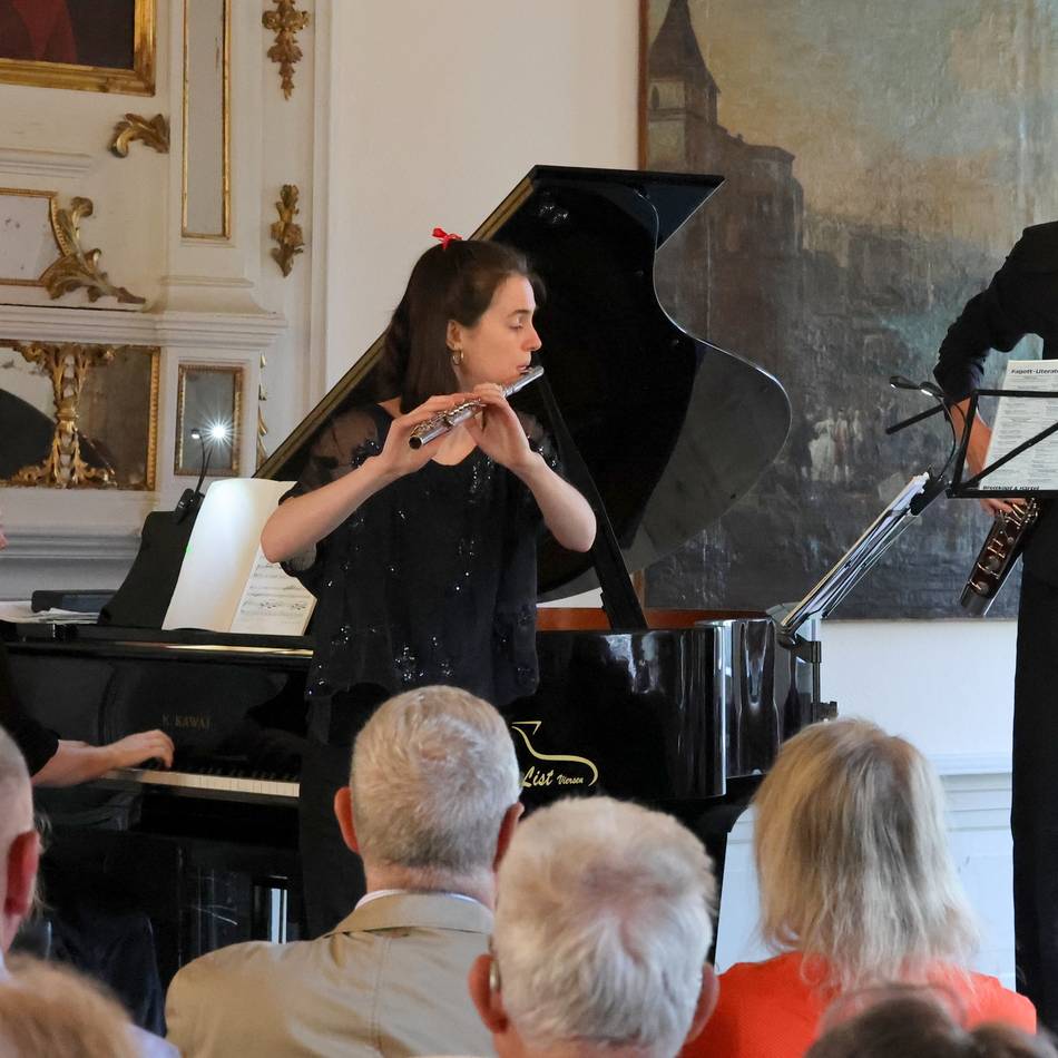 Trio begeistert im Dycker Schlosskonzert: Zupackendes Spiel im historischen Saal