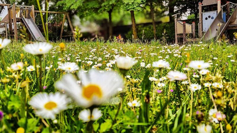 Freizeit in Langenfeld: Spielplatz Dorotheenstraße wird Jugendtreff