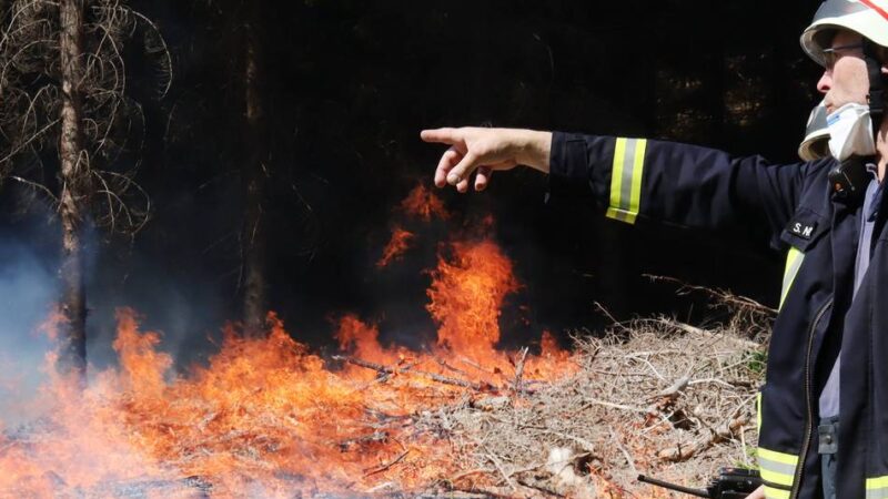 Notfallvorsorge im Oberbergischen Kreis: Waldbrandgefahr: Kreisbrandmeister mahnt zur Vorsicht