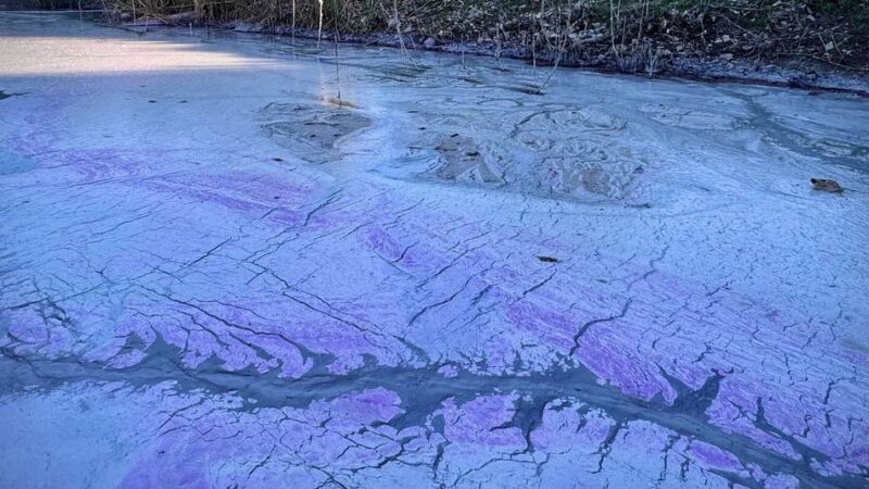 Weißer Schaum auf dem Wasser: Warum der Elfrather See nach Gülle stinkt