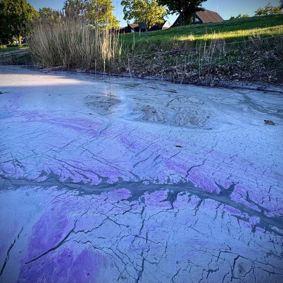Weißer Schaum auf dem Wasser: Warum der Elfrather See nach Gülle stinkt