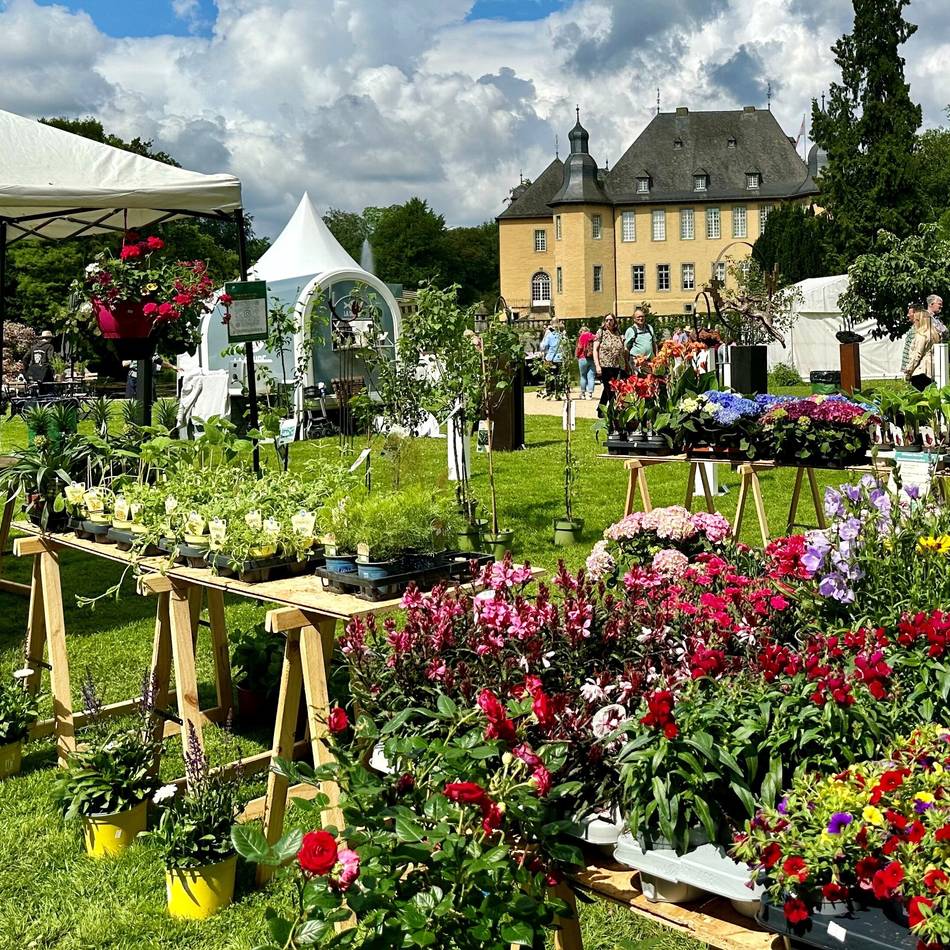 Pflanzen, Blumen und Walking-Acts: Gartenlust auf Schloss Dyck – Mit uns Tickets gewinnen