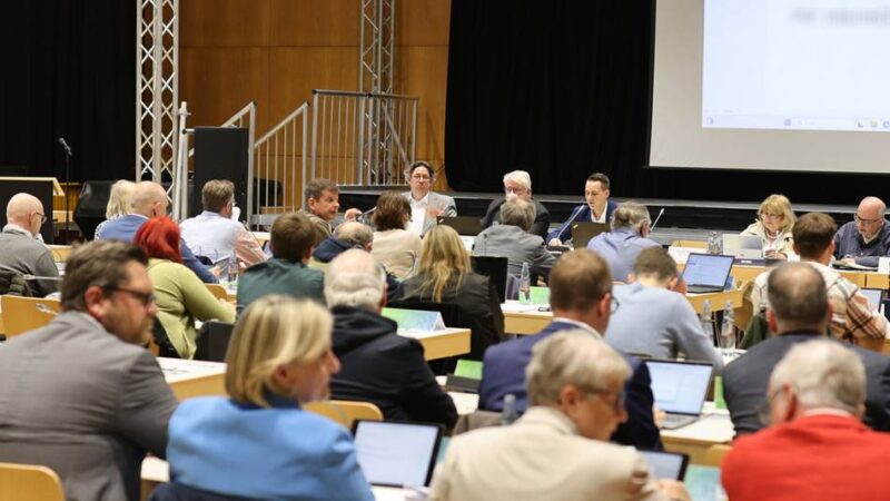Einsparmaßnahme in Mettmann: Stadtrat soll deutlich schrumpfen