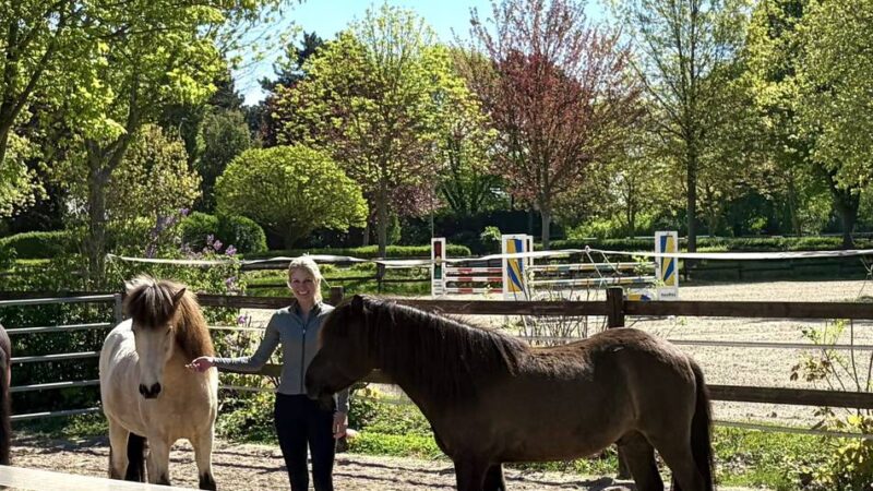 Reitstall in Meerbusch: Die Erfüllung eines Mädchentraums