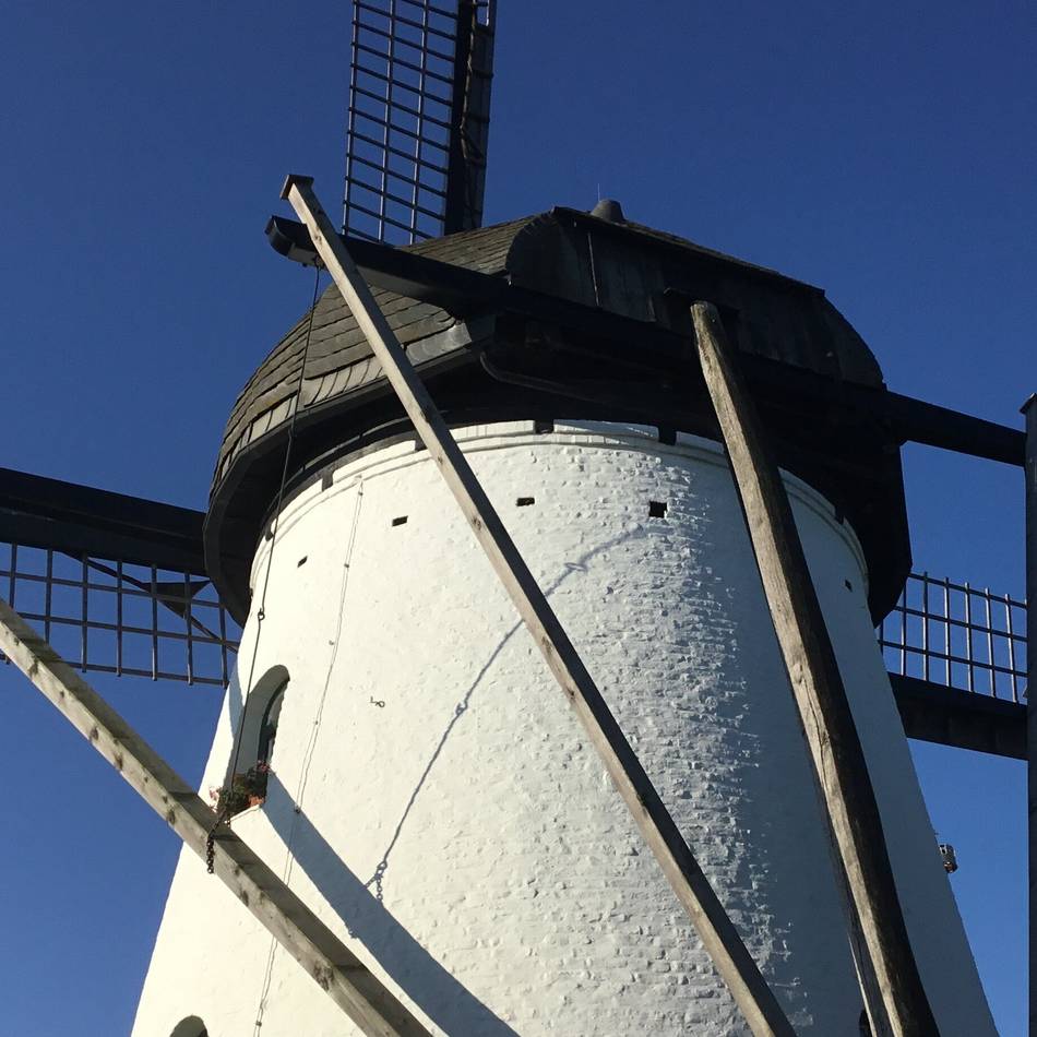 Deutscher Mühlentag in Hinsbeck: Stammenmühle öffnet einen Tag lang für Besucher