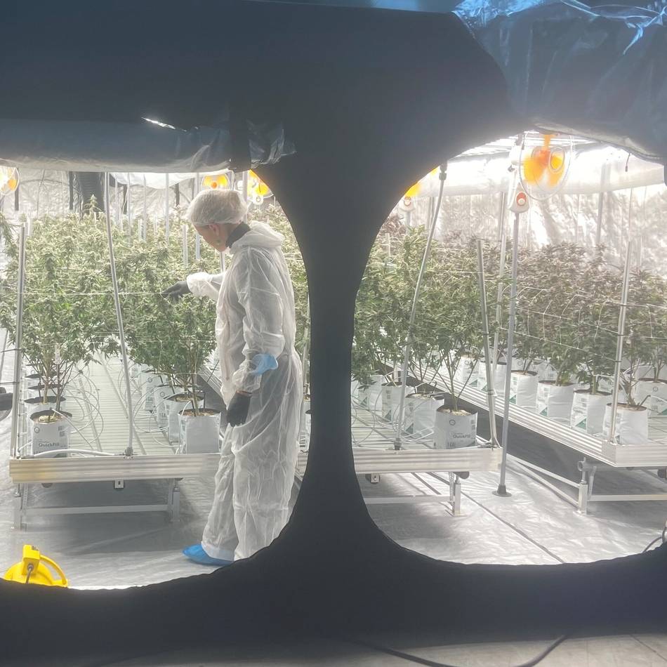 Cannabis-Club Duisburg: Geheimer Grow: Blick hinter die Kulissen des Green Mile