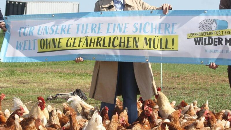 Projekt „Wilder Müll – Lebensgefahr für Tiere“ in Willich: Mit Bannern sensibilisieren