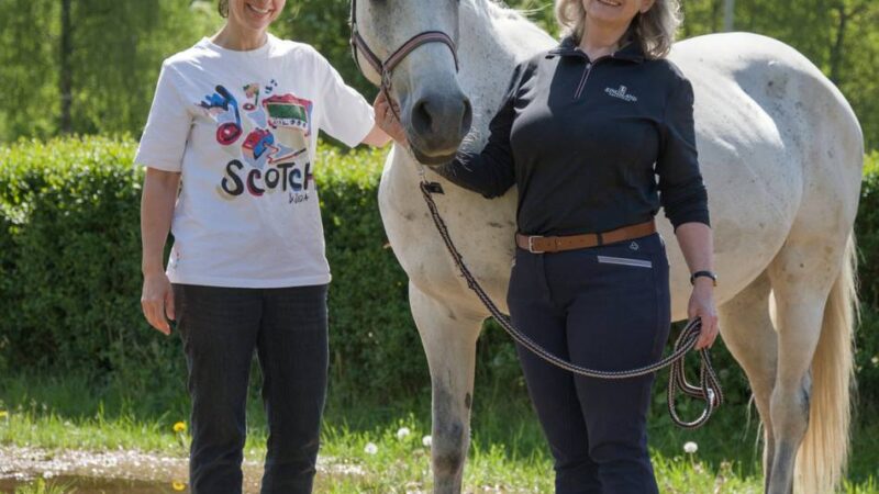 RV Ottohof hat Geldsorgen: Spendenaktion für trächtiges Pony „Lucy“