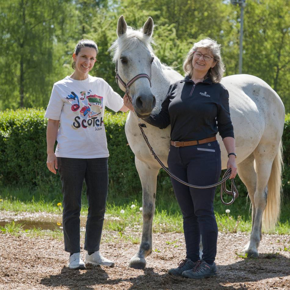 RV Ottohof hat Geldsorgen: Spendenaktion für trächtiges Pony „Lucy“