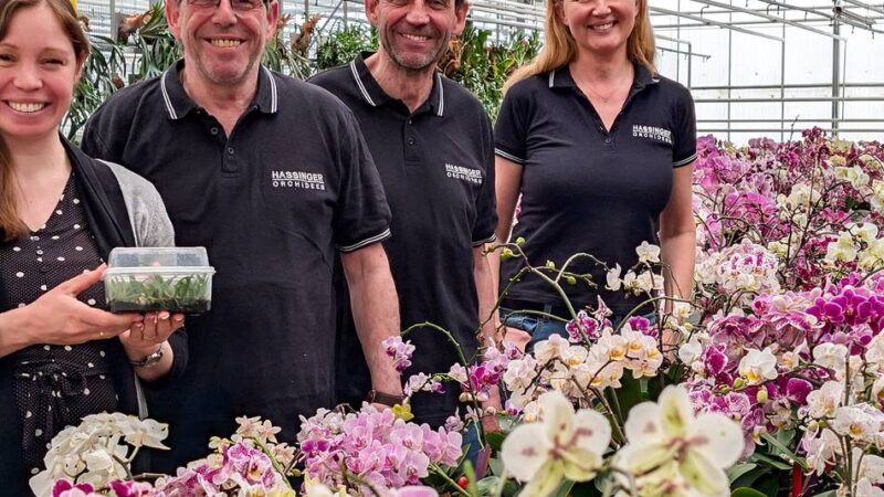 Tag der offenen Gärtnerei in Nettetal: Familie Hassinger gibt Einblick in die Orchideenzucht