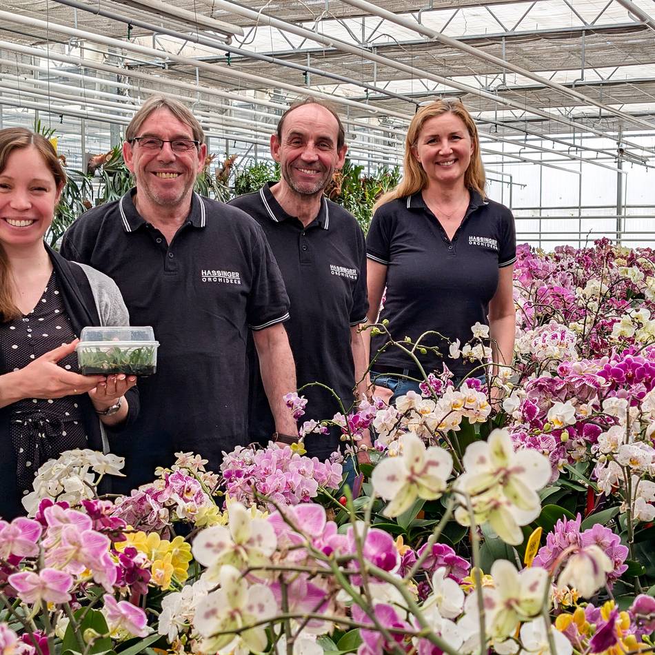 Tag der offenen Gärtnerei in Nettetal: Familie Hassinger gibt Einblick in die Orchideenzucht