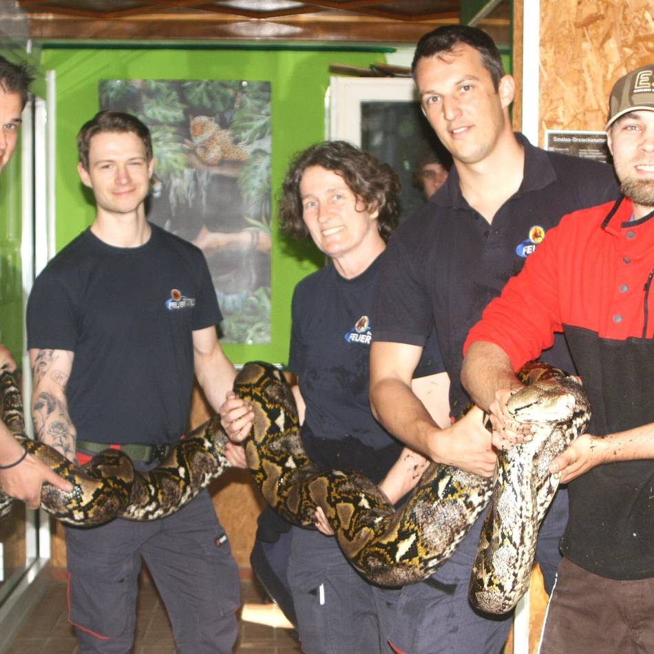 Spezialtraining im Tierpark Brüggen: Feuerwehr im Schlangeneinsatz