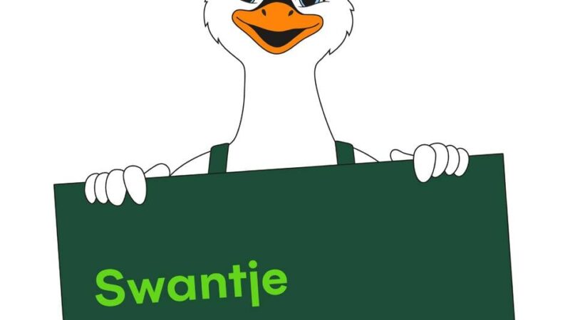 Landesgartenschau in Kleve: Wer steckt künftig im Schwan Swantje?