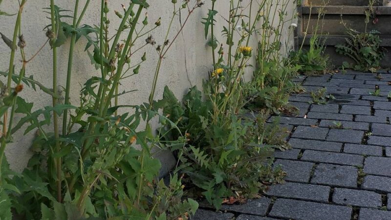 Finanzausschuss in Brüggen: Endlich Lösung im Streit um die Straßenreinigungsgebühren