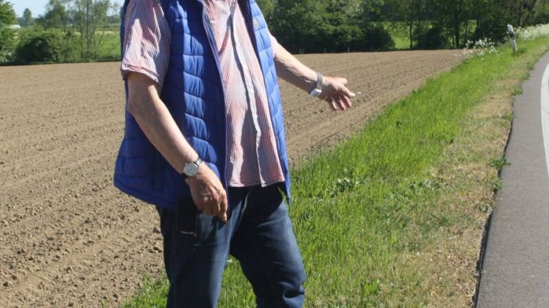 Lebensgrundlage für Insekten genommen: Nettetaler Nabu bemängelt frühe Mäharbeiten an Straßenrändern