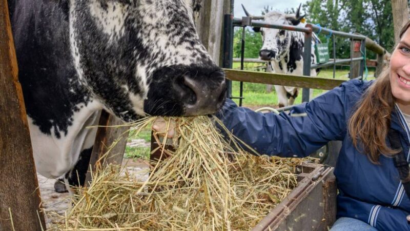 Freiwilliges Ökologisches Jahr in Viersen: Ein Jahr für die Natur – und für sich selbst
