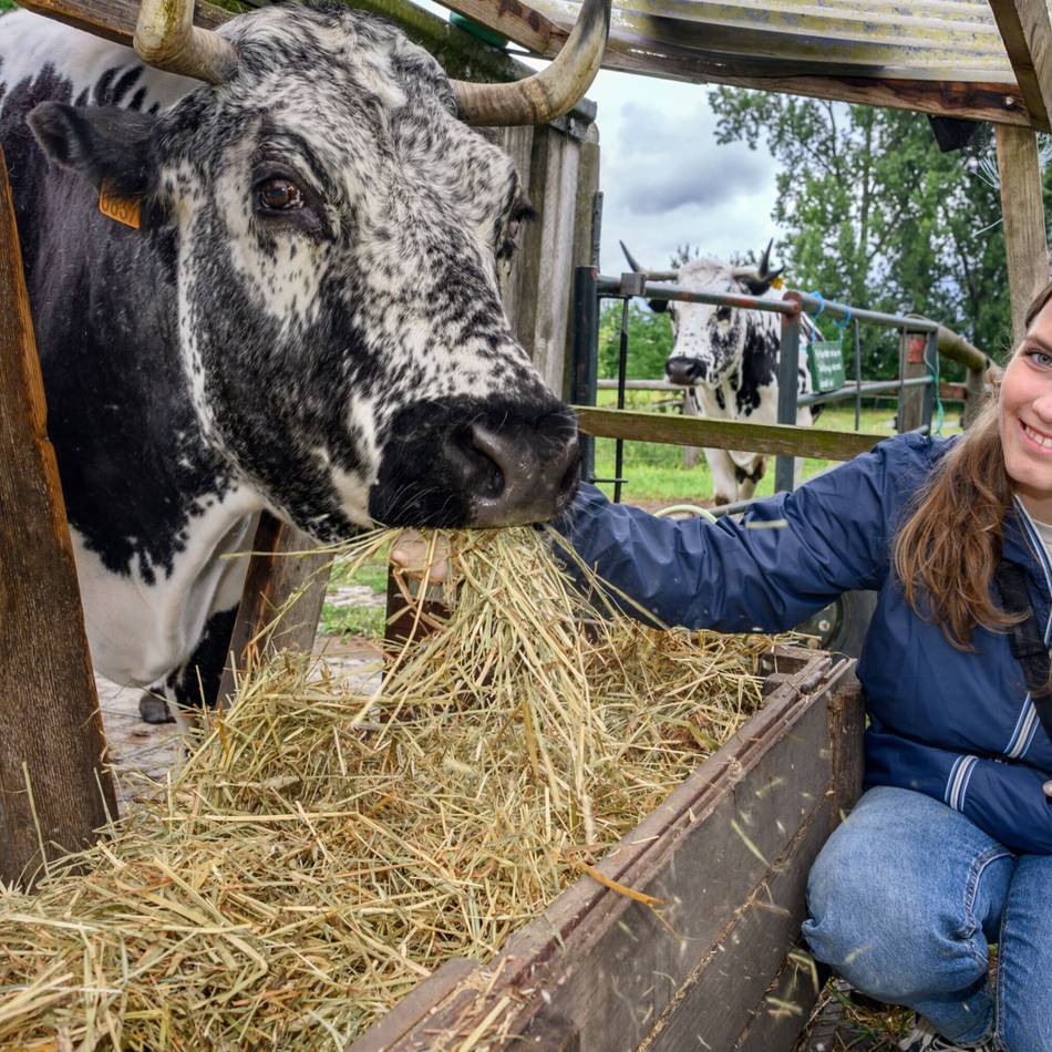 Freiwilliges Ökologisches Jahr in Viersen: Ein Jahr für die Natur – und für sich selbst