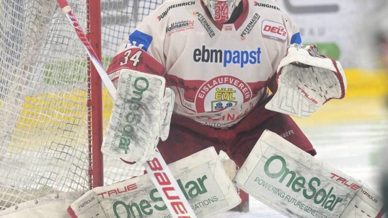 Goalie aus Landshut kommt: Die DEG hat eine neue Nummer eins im Tor