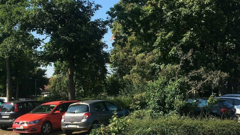 Veranstaltung in Brüggen: Diese Verkehrsregelungen sind beim Pfingstfest zu beachten