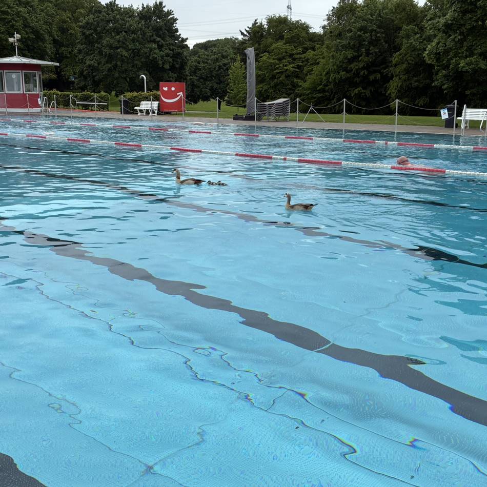 Kaum Schwimmer, dafür Enten im Neusser Südbad: Freibad-Saison startet verregnet – und mit Ärgernis
