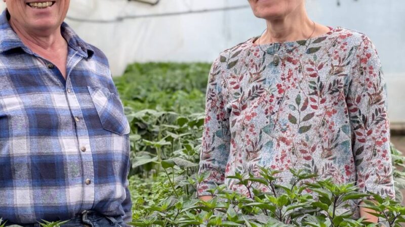 Solidarische Landwirtschaft in Schwalmtal: Obsthof Scholz-Döbelin lädt zum Sommerfest ein