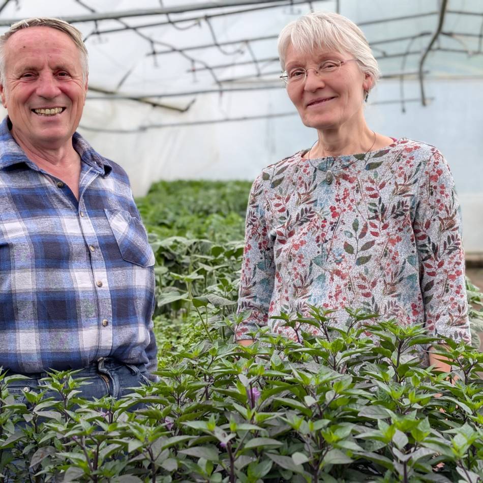 Solidarische Landwirtschaft in Schwalmtal: Obsthof Scholz-Döbelin lädt zum Sommerfest ein
