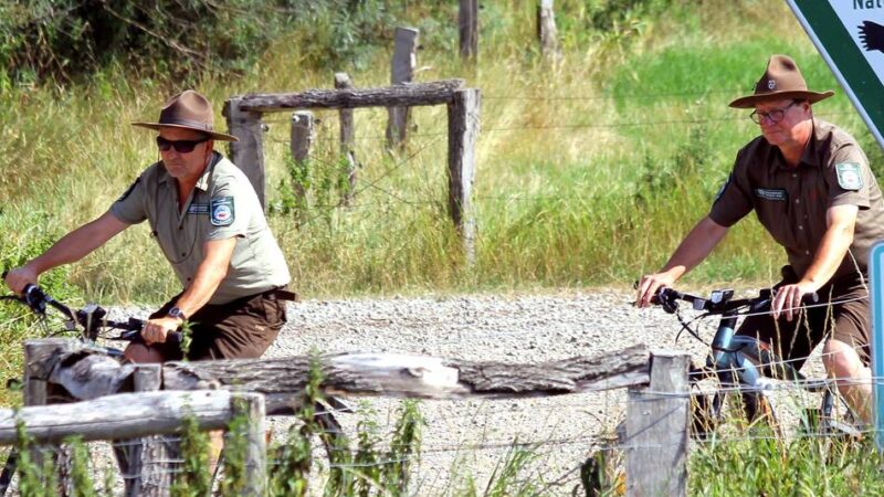 Naturschutz in Xanten: Neuer Ranger schützt die Bislicher Insel