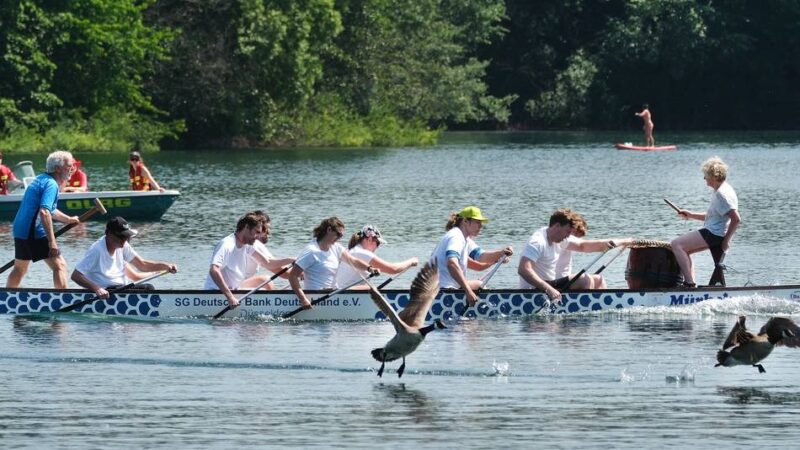 ZeltZeit am Grünen See: Drachenboote, Zirkus und Musik – Ratingen feiert