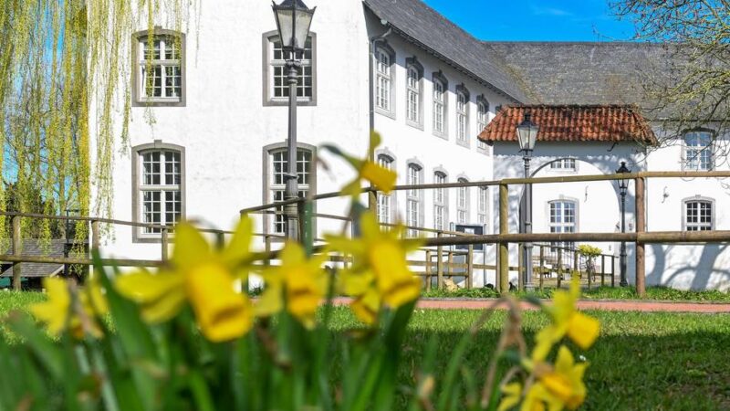 Beliebtes Fotomotiv im Freilichtmuseum: Trauerweide an der Dorenburg in Grefrath wird gefällt