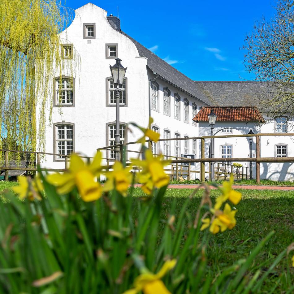 Beliebtes Fotomotiv im Freilichtmuseum: Trauerweide an der Dorenburg in Grefrath wird gefällt
