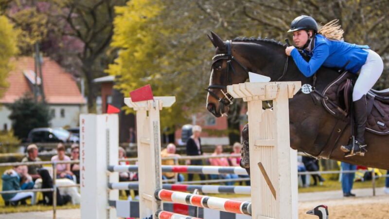 Zeitplan und Anreisehinweis: Reitturnier in Kranenburg mit Dressur und Springen am Sonntag