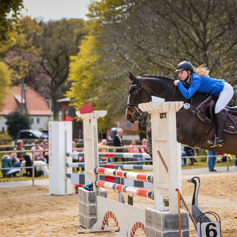 Zeitplan und Anreisehinweis: Reitturnier in Kranenburg mit Dressur und Springen am Sonntag