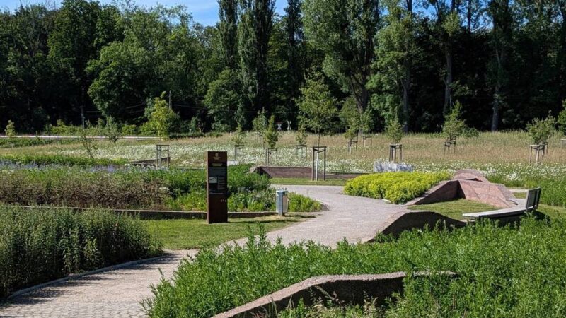 Natur in Ratingen: Cromfordwiesen dienen bundesweit als Best-Practice-Beispiel