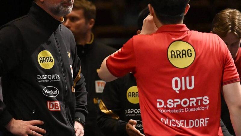 Düsseldorf verpasst Champions-League-Finale
: Lebrun-Brüder stoppen Borussia
