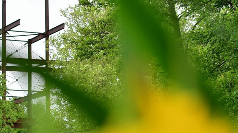 Kunst-Mitmachaktion und Picknick in Grefrath: Jung und Alt gestalten den Schwingbodenpark bunt