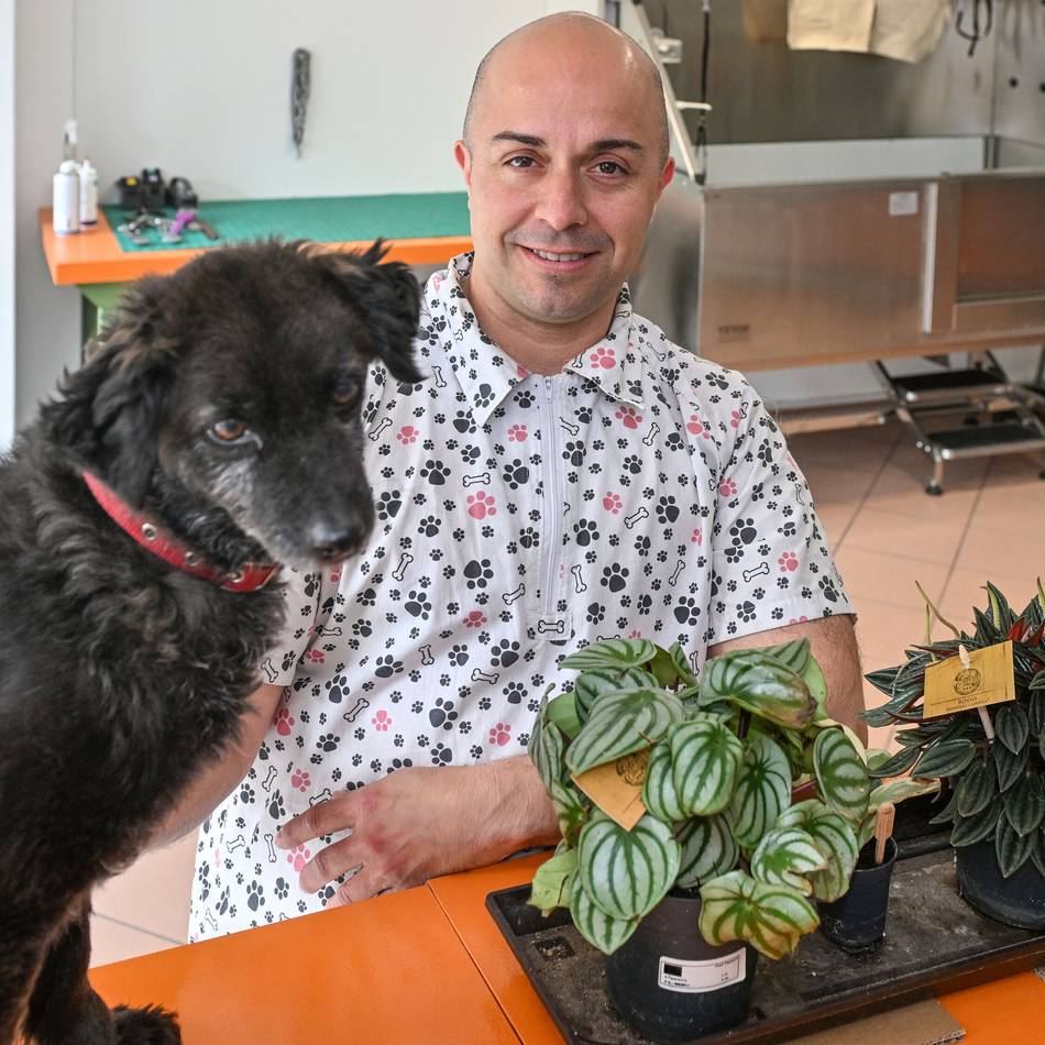 Wechsel von Köln nach Willich: Neuer Hundesalon in Anrath eröffnet