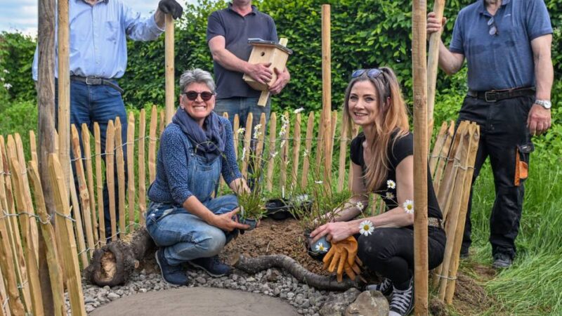 Auf dem Stautenhof in Anrath: Sandarium bietet Hummeln und Wildbienen Schutz