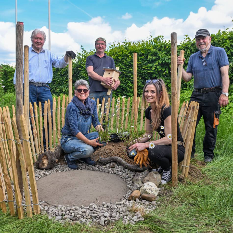 Auf dem Stautenhof in Anrath: Sandarium bietet Hummeln und Wildbienen Schutz