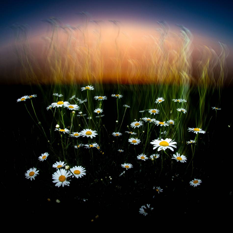 Ausstellung in Wachtendonk: Glanzlichter der Naturfotografie in Haus Püllen