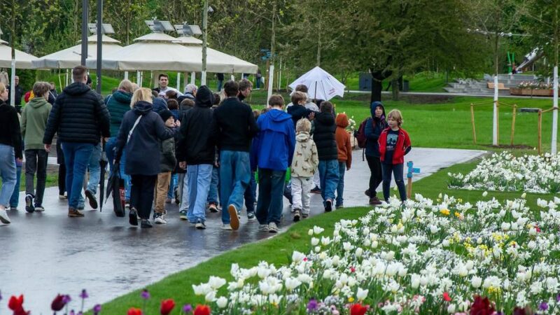 Landesgartenschau in Neuss: Alter Hengststall wird zur Kunstgalerie