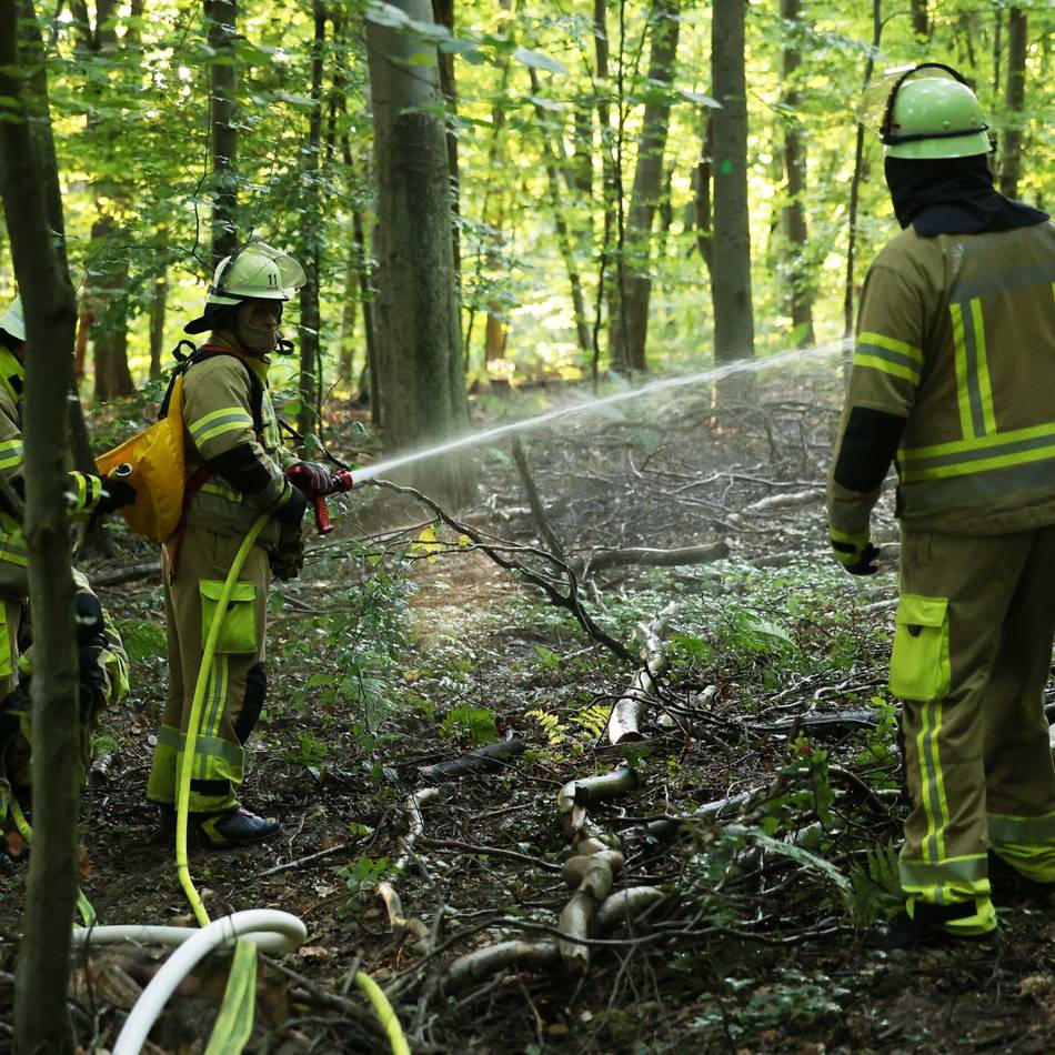 Einsatz in Oirschoot: Düsseldorfer Feuerwehr hilft bei Waldbränden in den Niederlanden