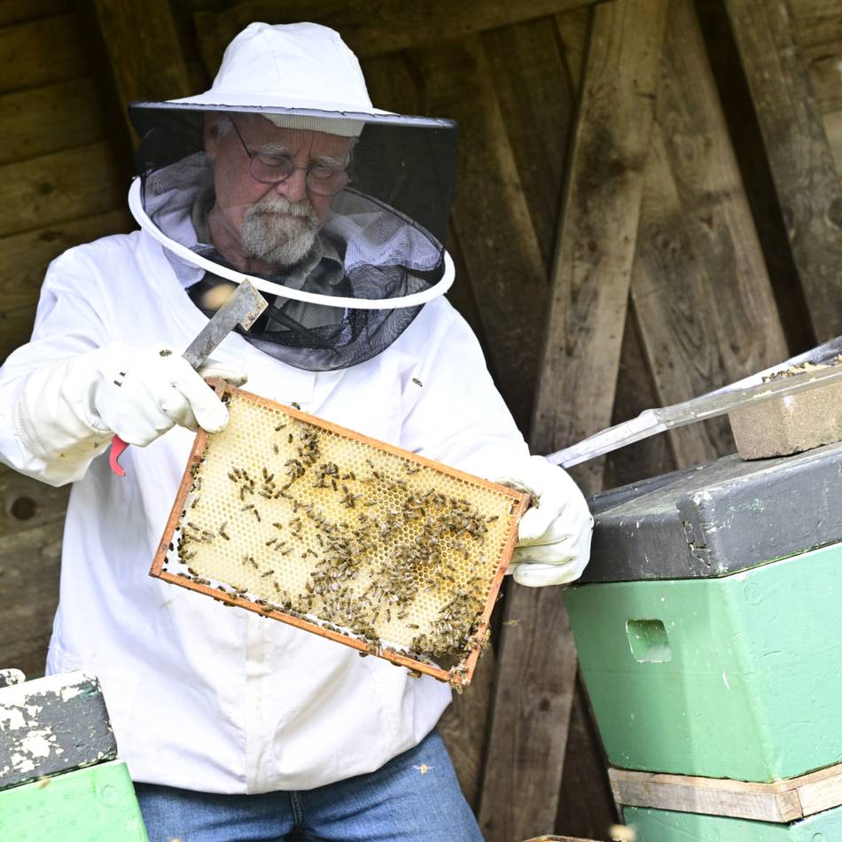 Zum Weltbienentag in Mönchengladbach: „Wenn die Bestäuber sterben, stirbt auch der Mensch“