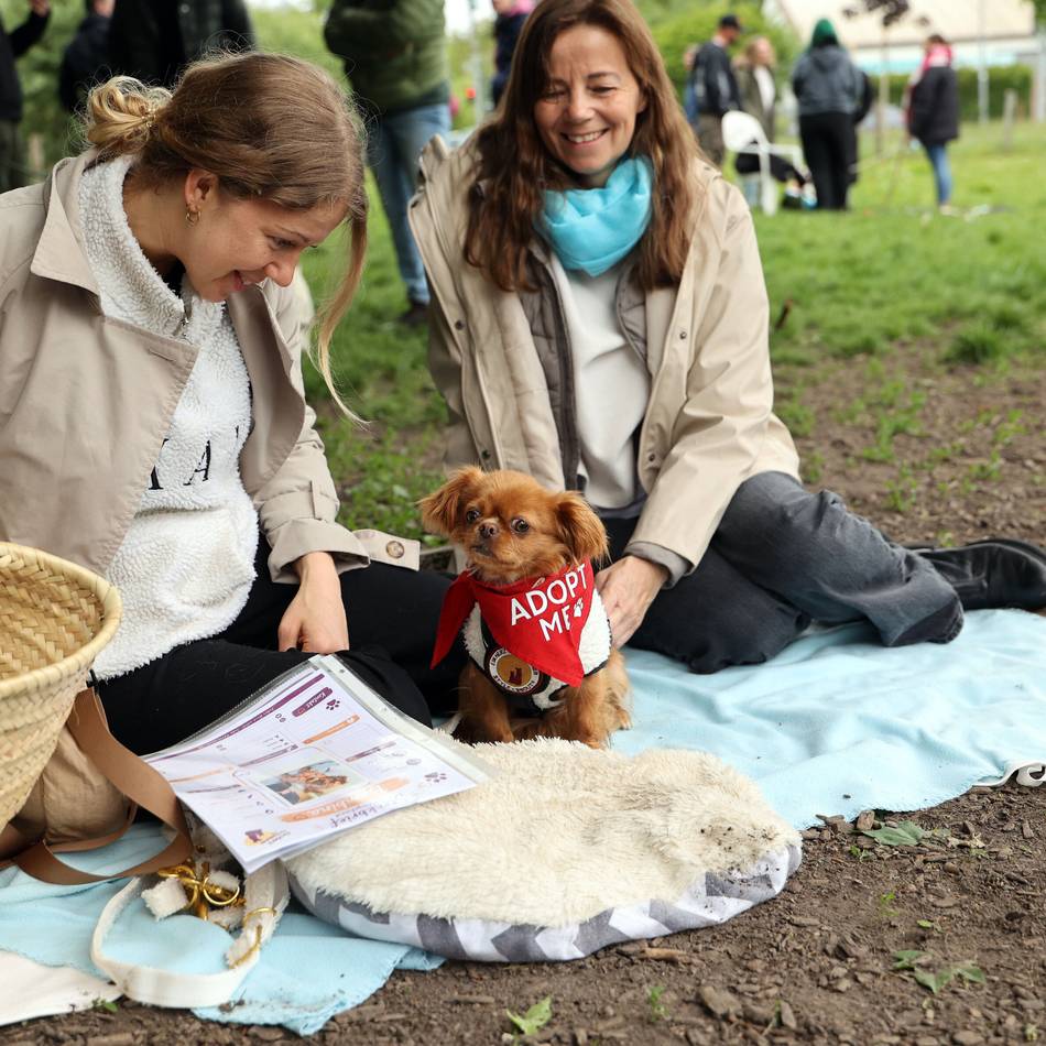 „Bark Date“ in Mönchengladbach: Liebe auf den ersten Hundeblick